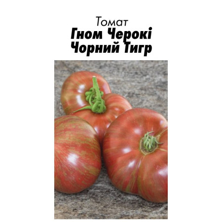 Семена Томат Гном Чероки Черный Тигр 15 шт (от коллекционера)