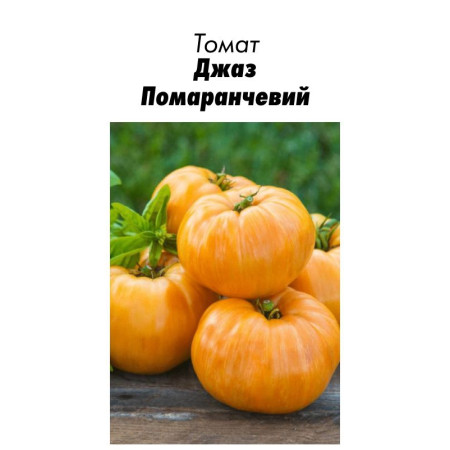 Семена Томат Джаз Оранжевый 20 с (от коллекционера)