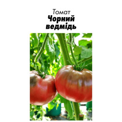 Семена Томат Черный медведь 20 с (от коллекционера)