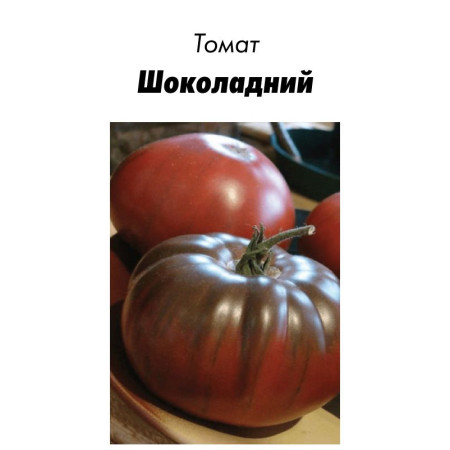 Семена Томат Шоколадный 15 шт (от коллекционера)