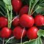 Семена Редис Сора 2 г ТМ Урожай