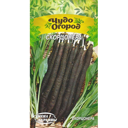 Семена Скорцонера [1г], Семена Украины