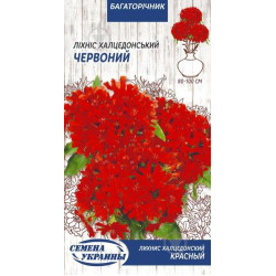 Семена Цветы Лихнис Халцедонский Красный 0,2 г Семена Украины