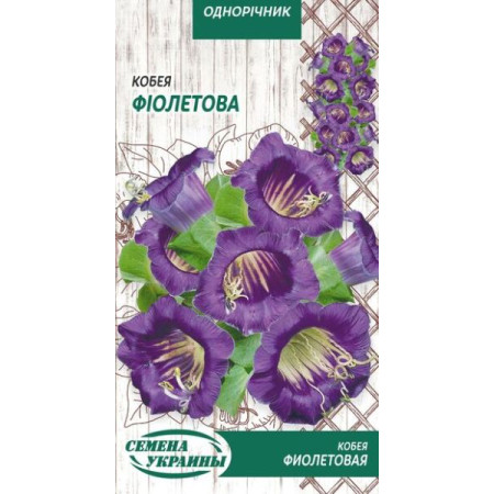 Семена Цветы Кобея Фиолетова 0,3 г Семена Украины