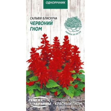 Семена Цветы Сальвия Блестящая Красная Гном 0,2 г Семена Украины