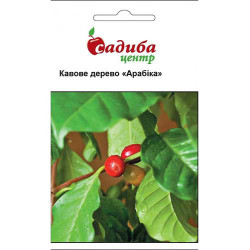 Семена Цветы Кофейное дерево Арабика 5 шт СЦ