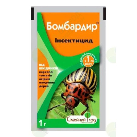 Бомбардир (1 гр)