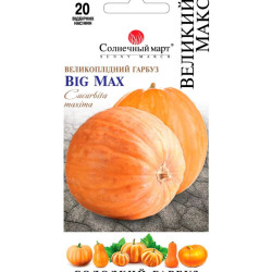 Семена Тыква Большая Макс 20 шт., СМ