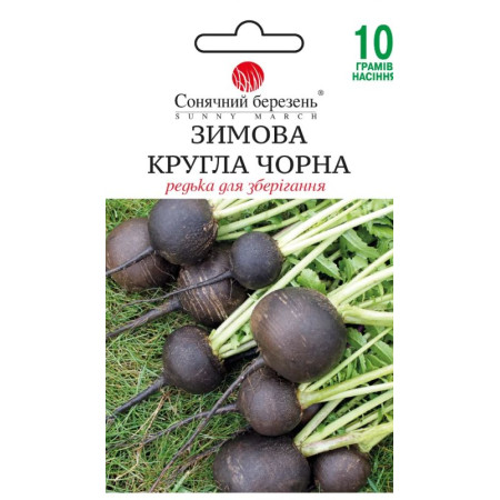 Семена Репы Зимняя круглая черная 10 гр. СМ
