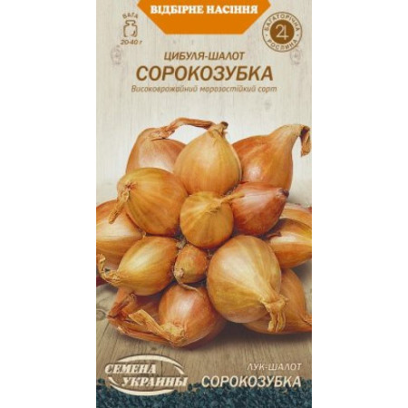 Семена Лук-шалот СОРОКОЗУБКА 0,25г (Семена Украины)