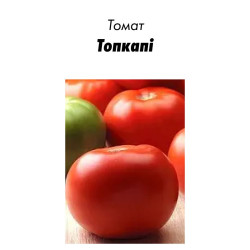 Семена Томат Топкапи F1, 20шт зип-пакет (Голландия)