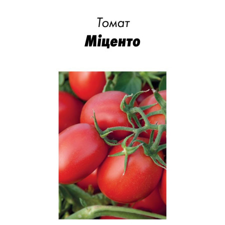 Семена Томат Мицено F1, 20шт зип-пакет (Голландия)