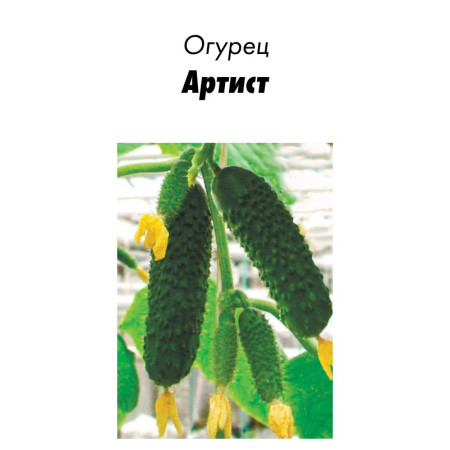 Семена Огурец Артист F1, 10шт зип-пакет (Голландия)