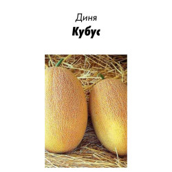 Семена Дыня Кубус F1, 10 шт в зип-пакете  (Голландия)