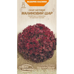 Семена Салат Листовой Малиновый Шар 1 г Семена Украины