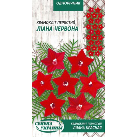 Семена Цветы Квамоклит Перистый Лиана красная 0,25 г Семена Украины
