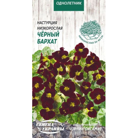 Семена Цветы Красоля Низкая Черный бархат 1 г Семена Украины