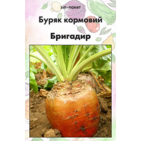 Семена Свекла кормовая Бригадир (Нидерланды), 100 г