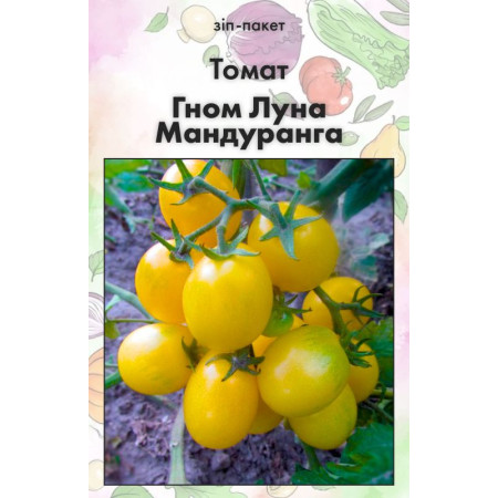 Семена Томат Гном Луна Мандуранга 15 шт (от коллекционера)