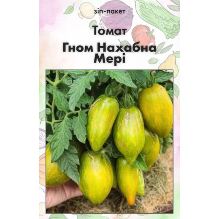 Семена Томат Гном Наглая Мэри 15 шт (от коллекционера)
