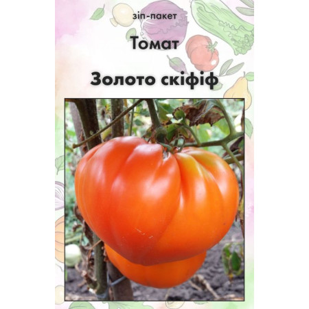 Семена Томат Золото скифиф 15 шт (от коллекционера)