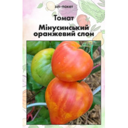 Семена Томат Минусинский оранжевый слон 15 шт (от коллекционера)