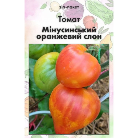 Семена Томат Минусинский оранжевый слон 15 шт (от коллекционера)