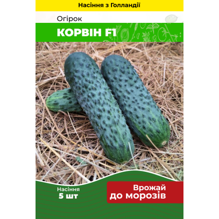 Семена Огурец Корвин F1 5 шт (Голландия) зип-пакет