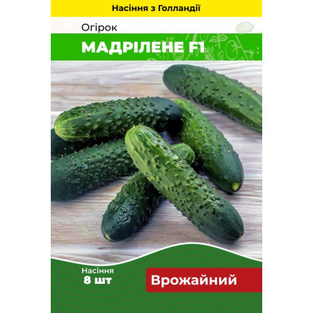 Семена Огурец Мадрилене F1 8 шт (Голландия) зип-пакет