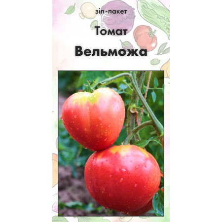 Семена Томат Вельможа 15 нас (от коллекционера)