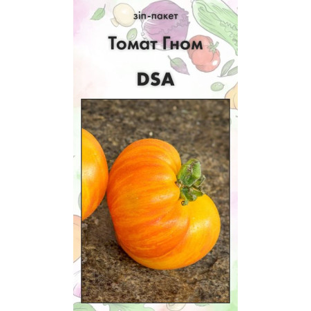 Семена Томат Гном DSA (США) 15 нас (от коллекционера)