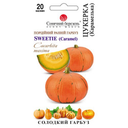 Семена Тыква Конфета 20 шт СМ