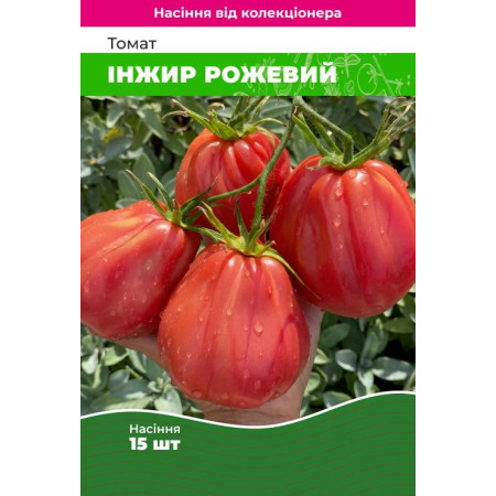 Семена Томат Инжир розовый 15 шт (от коллекционера)