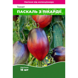 Семена Томат Паскаль из Пикардии 15 шт (от коллекционера)
