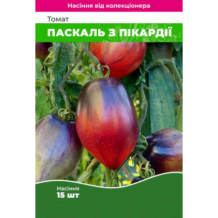 Семена Томат Паскаль из Пикардии 15 шт (от коллекционера)