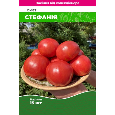 Семена Томат Стефания 15 шт (от коллекционера)