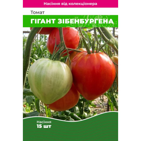 Семена Томат Гигант Зибенбургена 15 шт (от коллекционера)