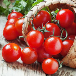 Семена Томат Вишня Юбби 25шт, СМ